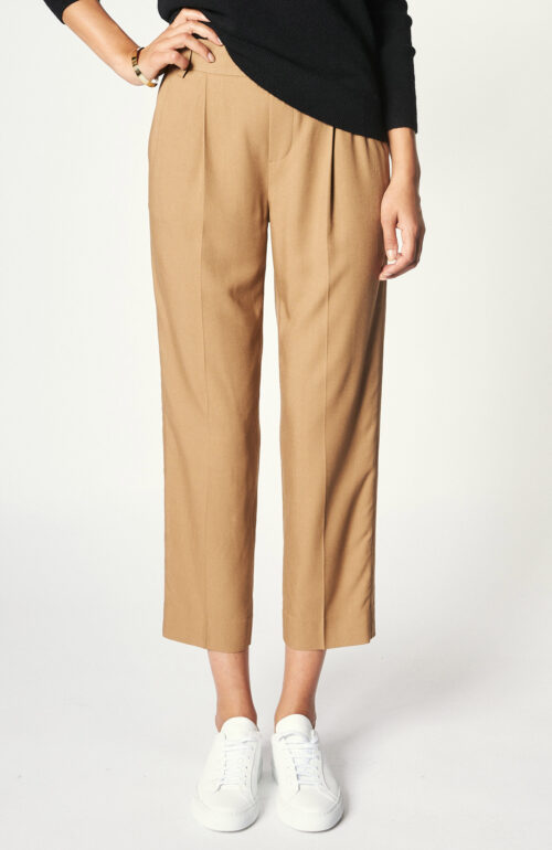Pants "Casual pull on pant" in brown