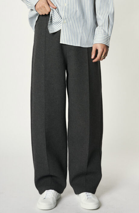 Embroidered Pleated Trousers in Heather Grey